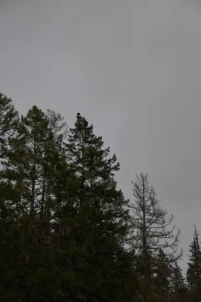 DSC_0188 (Large).JPG